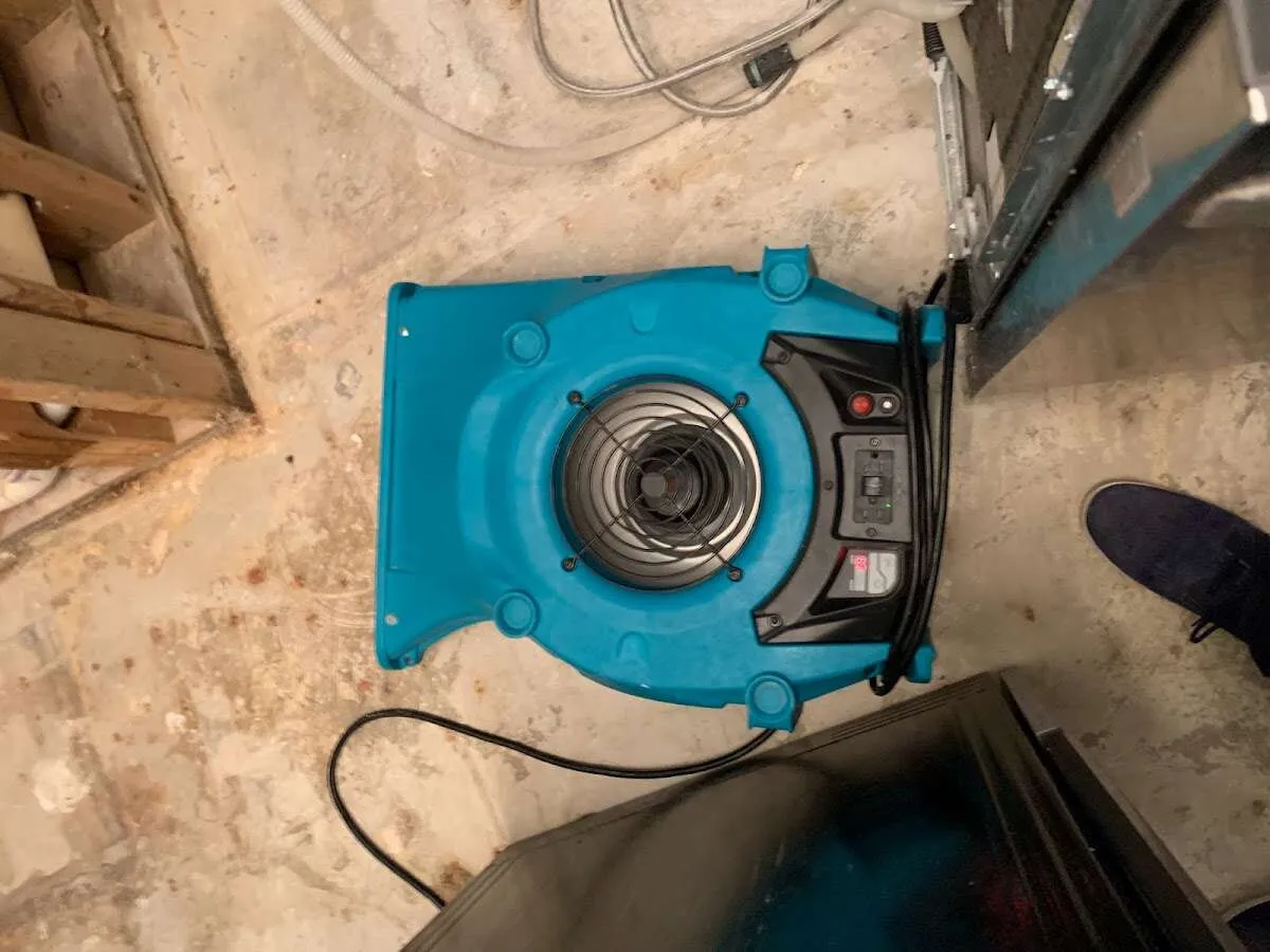 Air mover drying equipment for Mold Remediation & Removal in Nevada